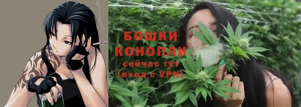 СК Дедовск