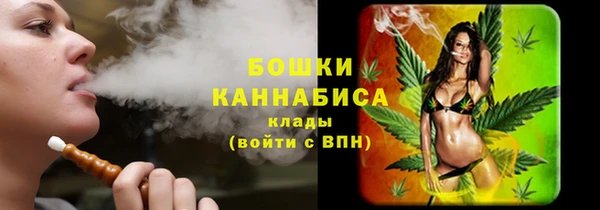 гидра Новокубанск