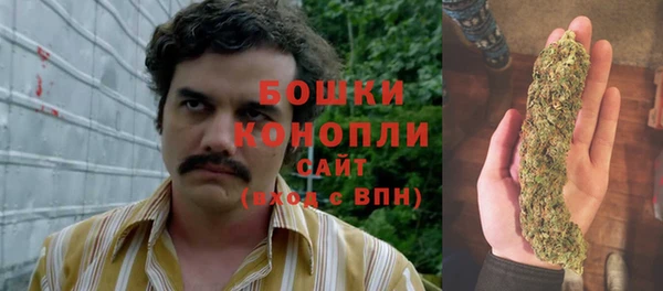 гидра Новокубанск